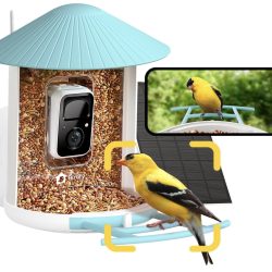 NETVUE by Birdfy AI Smart Bird Feeder with Camera